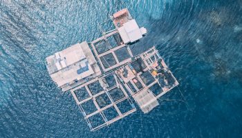 fish-farm-2