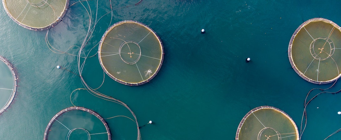 fish farm aerial