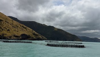 fish-farm-mountains