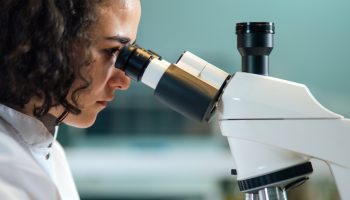 person looking in microscope